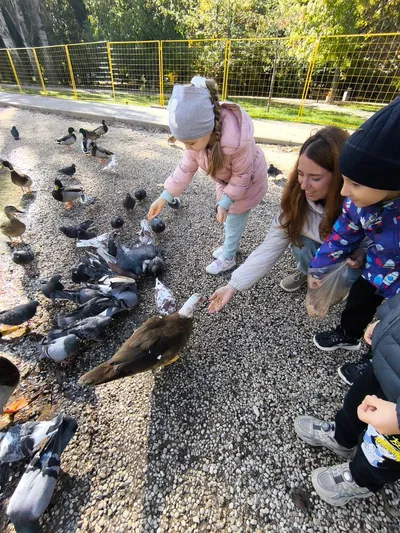 Урок робототехники